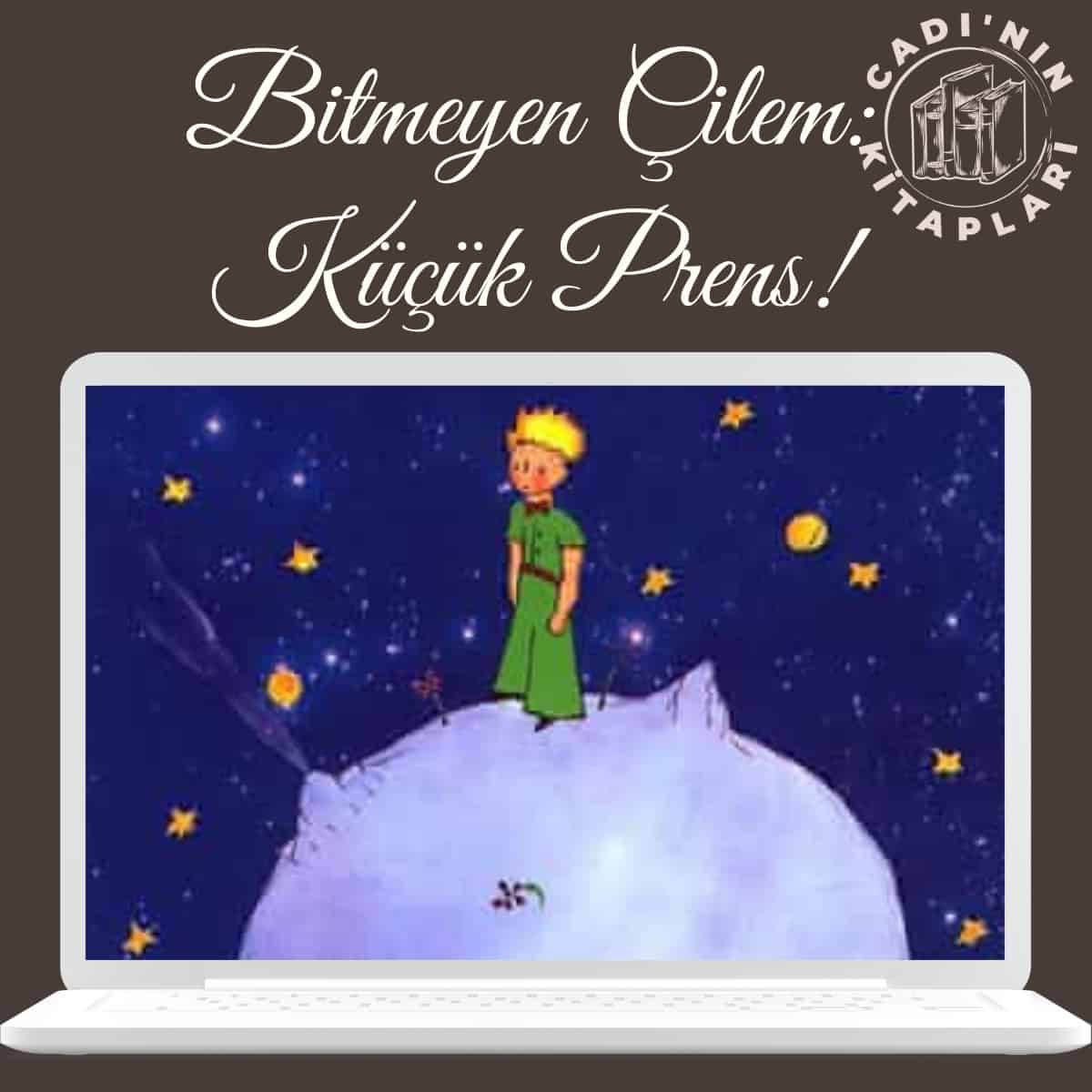 Dikkat Küçük Prens Çıkabilir!