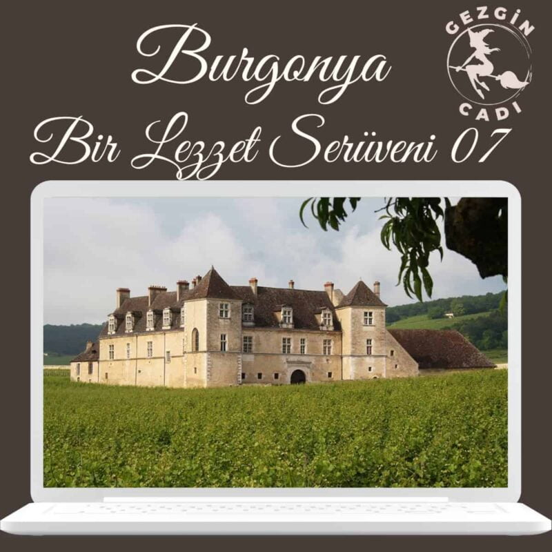 burgonya bağ rotası bölüm 7