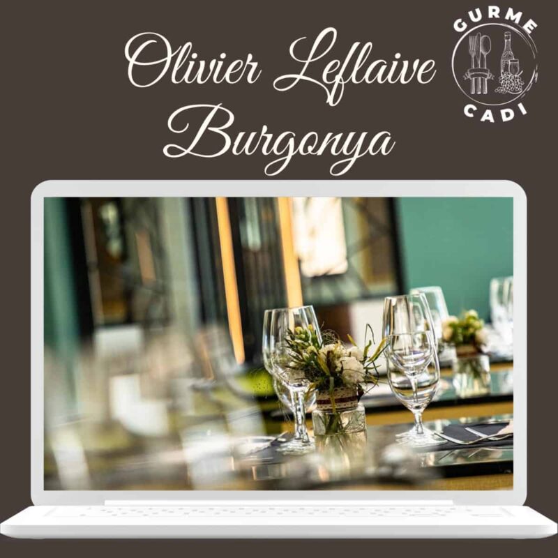 olivier leflaive burgonya