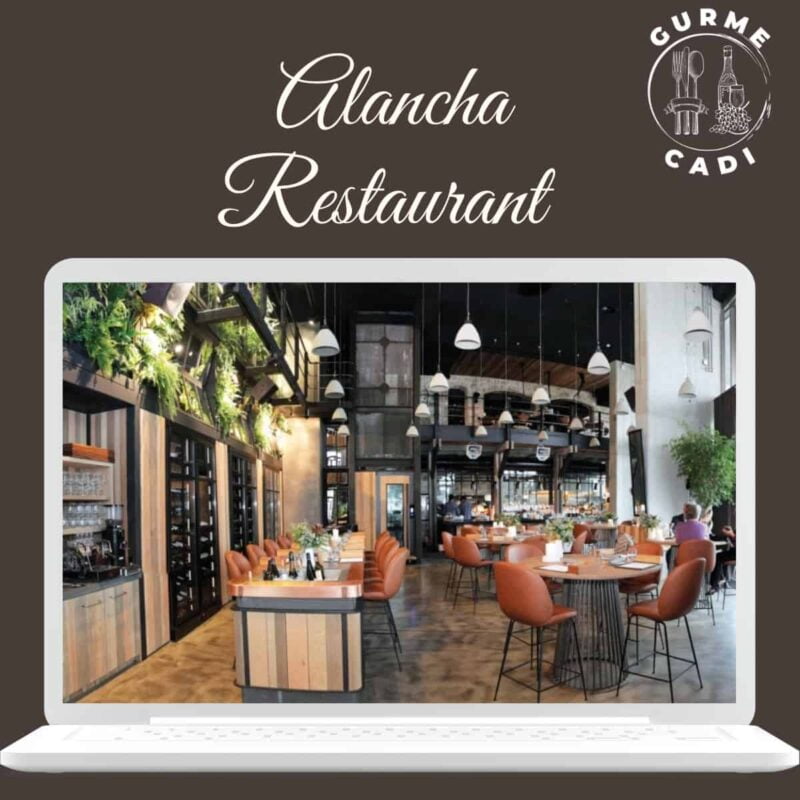 alancha restaurant maçka istanbul