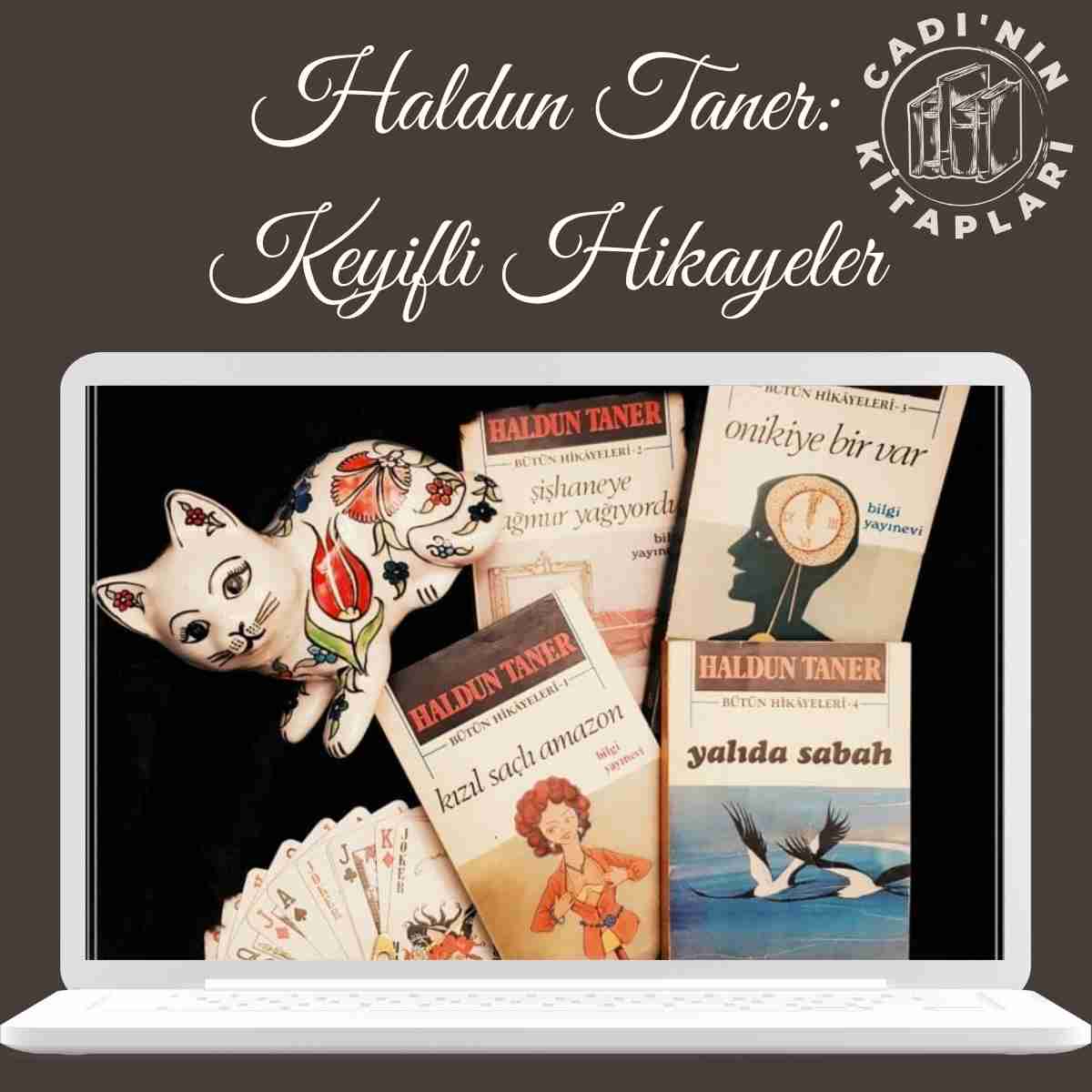 Haldun Taner : Türk Hikayeciliğinde Bir Duayen